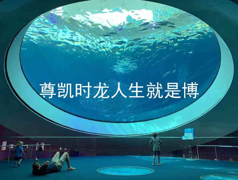 尊凯时龙人生就是博