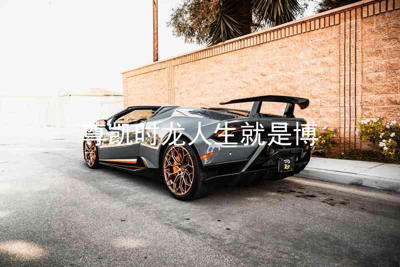 尊凯时龙人生就是博