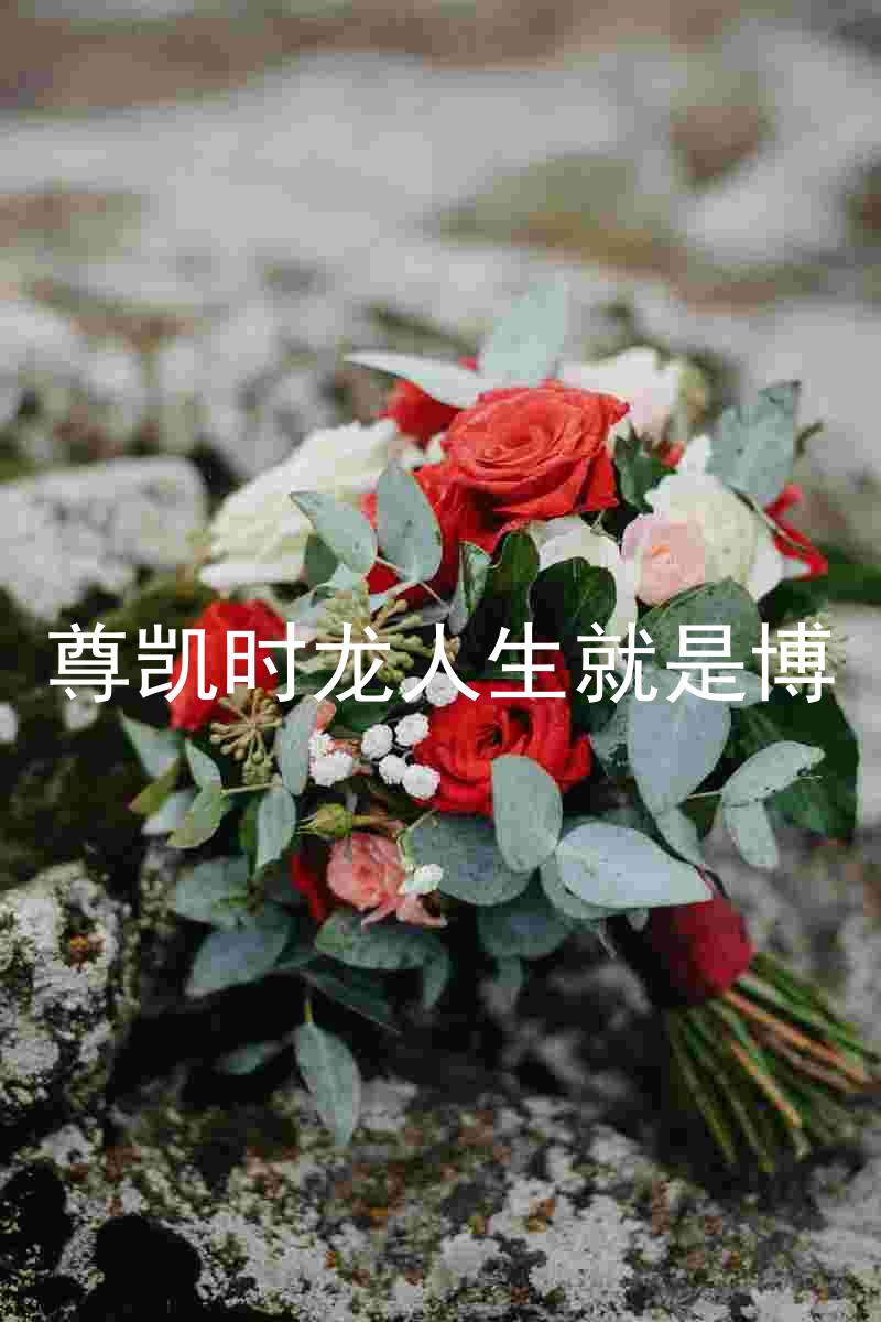 尊凯时龙人生就是博