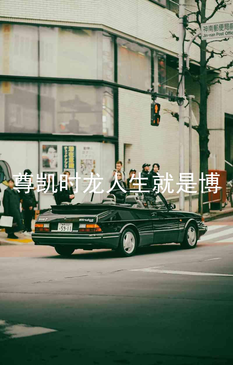 尊凯时龙人生就是博